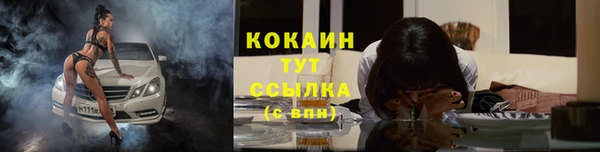 спайс Арсеньев