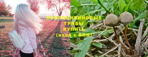 a pvp Армянск