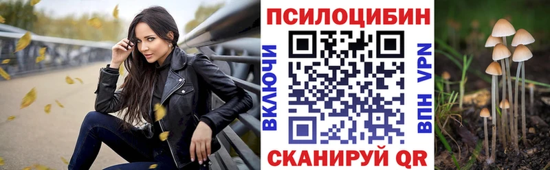 Псилоцибиновые грибы GOLDEN TEACHER  KRAKEN ссылка  Сычёвка 